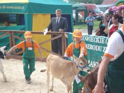 KONKURS MŁODEGO HODOWCY