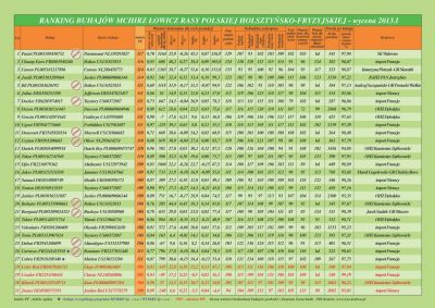 Ranking Buahjów 2013.1_str.2
