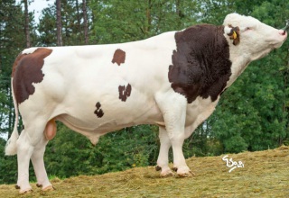 LORKA