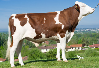 LOTMAN